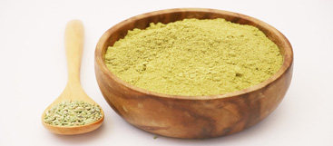 Moringa