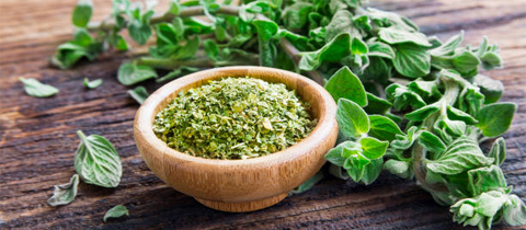 Moringa